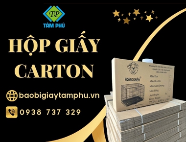 Hộp giấy carton là gì? Phân loại, ưu điểm và ứng dụng chi tiết từ A-Z