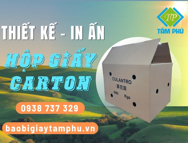 hộp giấy carton