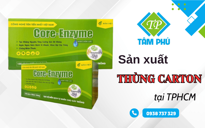hộp giấy carton