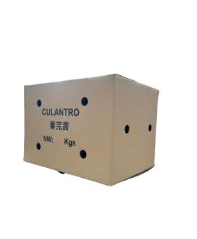 Hộp giấy carton