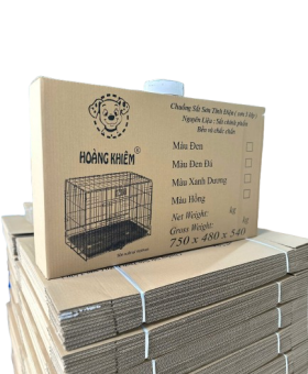 Hộp giấy carton