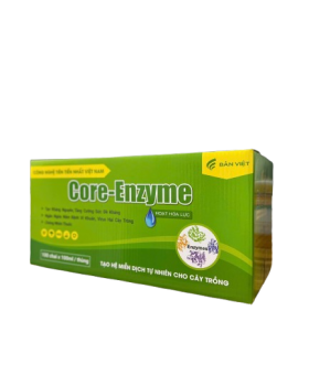 Thùng carton in offset